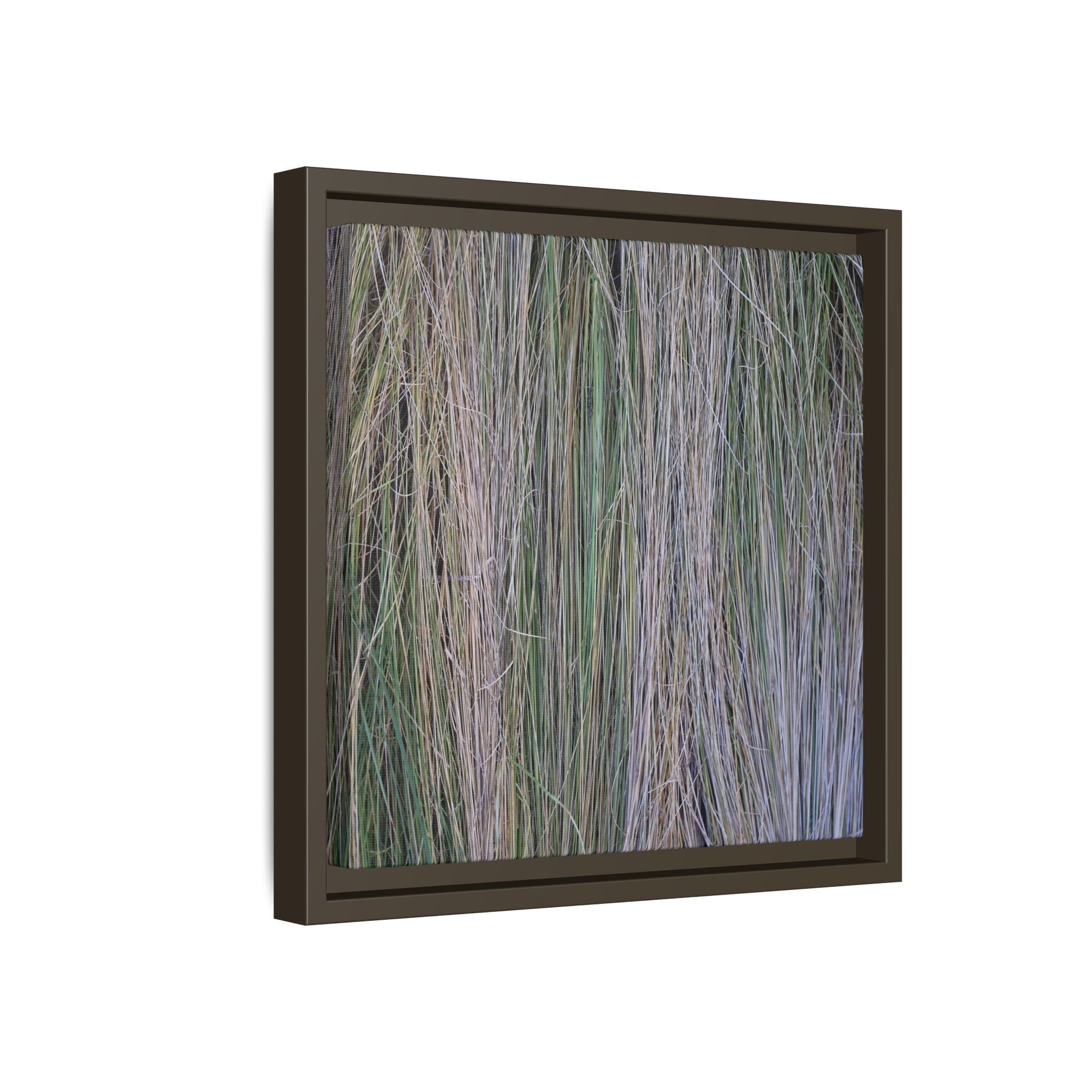Whispers of Silver Grass - Unique Stretched Canvas Wall Art - Art By Earth