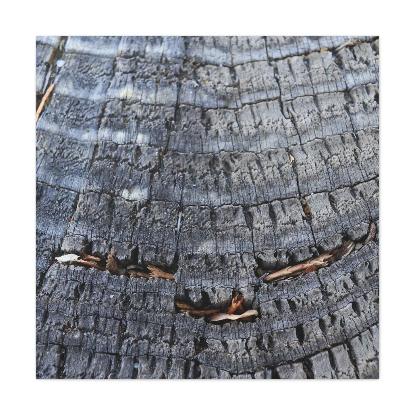 Time's Fractal Whispers - Unique Frameless Canvas Wall Art - Art By Earth