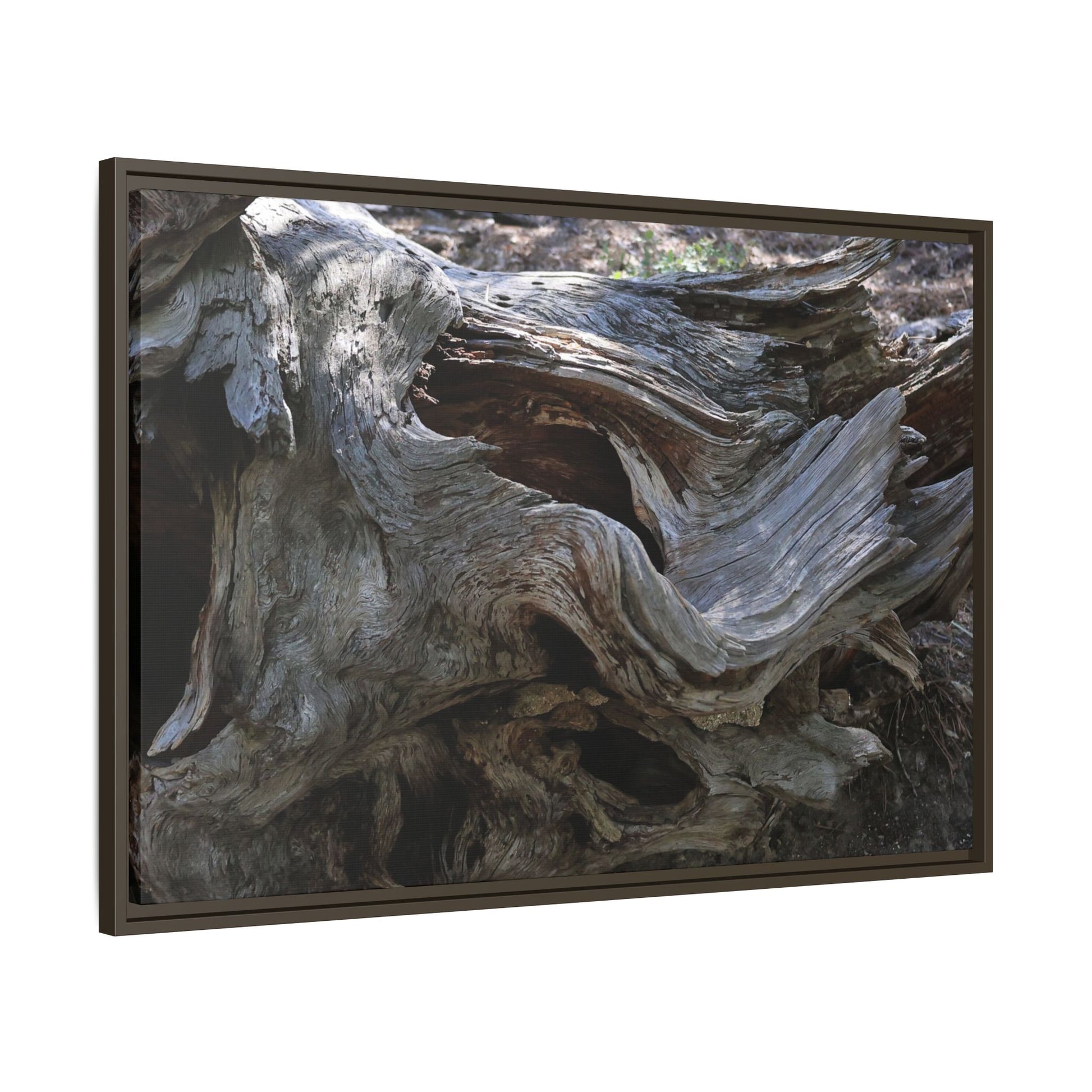 Twisted Memories - Unique Stretched Canvas Wall Art - Art By Earth