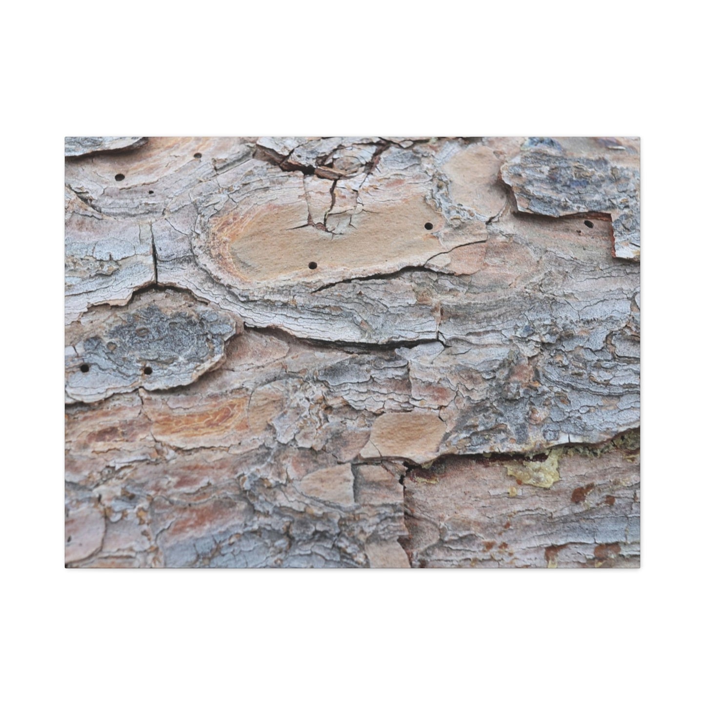 Textural Geology - Unique Frameless Canvas Wall Art - Art By Earth