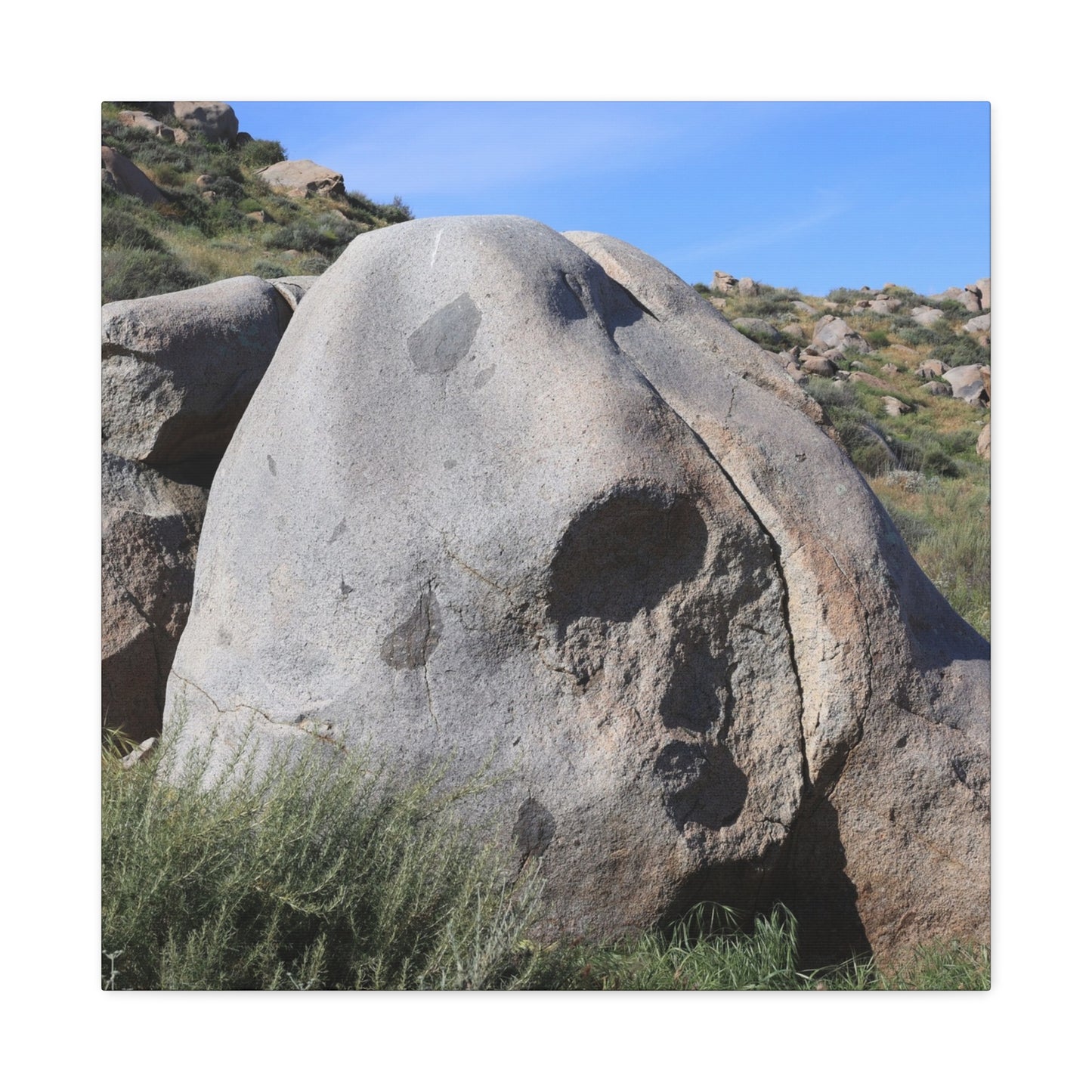 Skull Rock - Unique Frameless Canvas Wall Art - Art By Earth