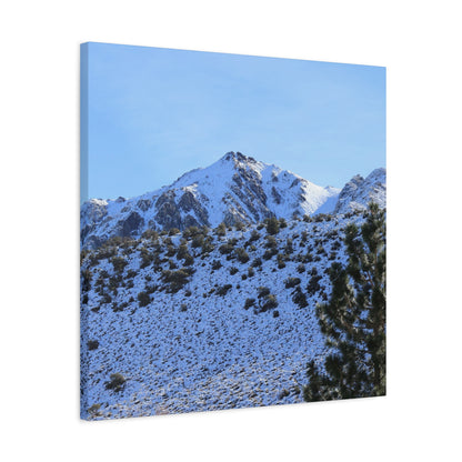 Snowy Peaks and Stoic Pines - Unique Frameless Canvas Wall Art