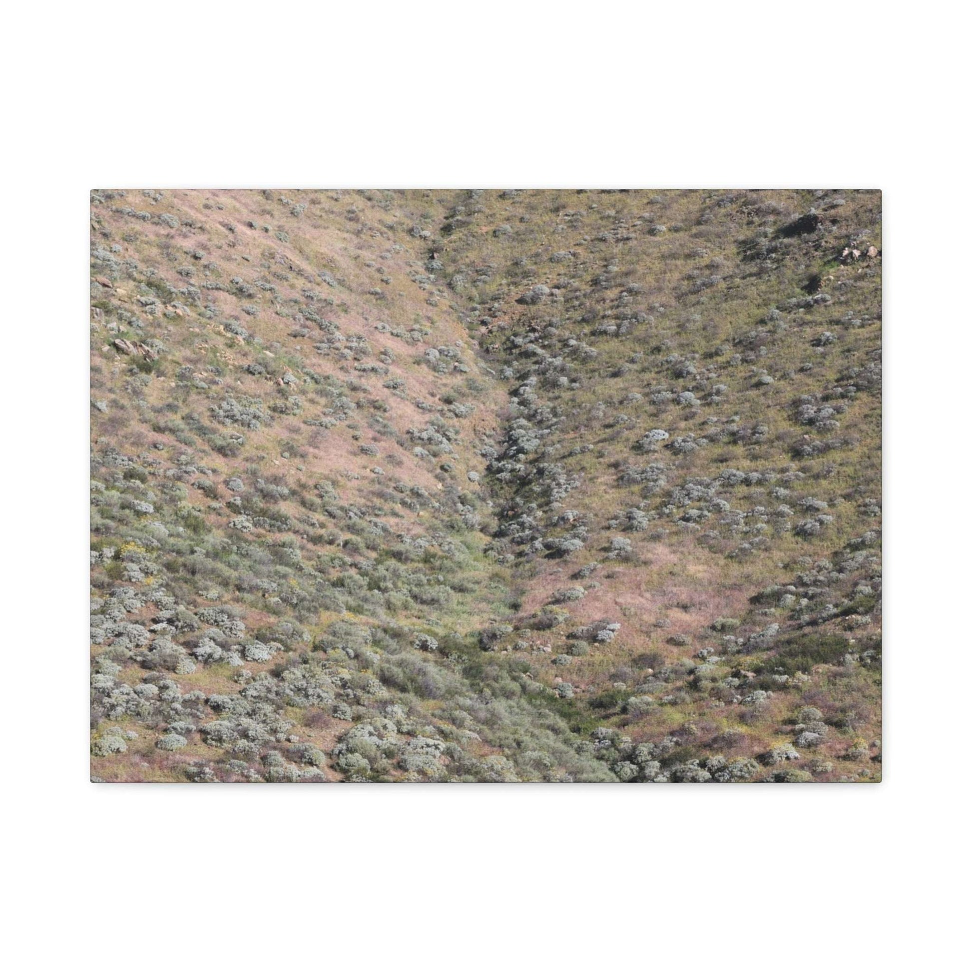 Desert Hillside - Unique Frameless Canvas Wall Art - Art By Earth
