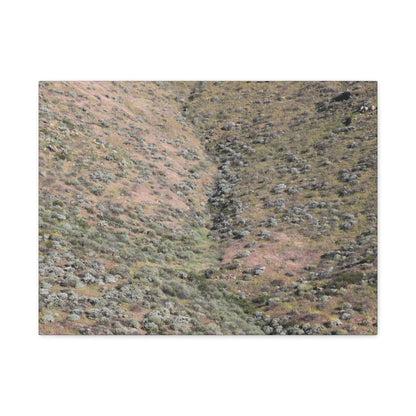 Desert Hillside - Unique Frameless Canvas Wall Art - Art By Earth