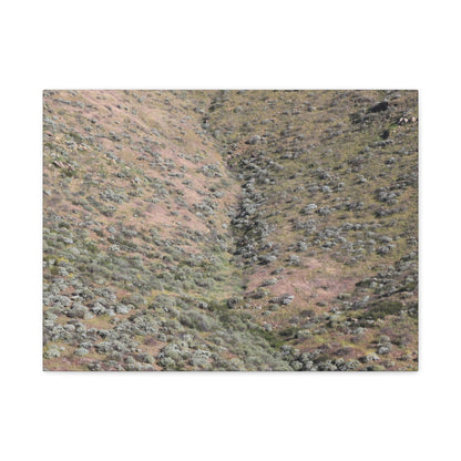 Desert Hillside - Unique Frameless Canvas Wall Art - Art By Earth
