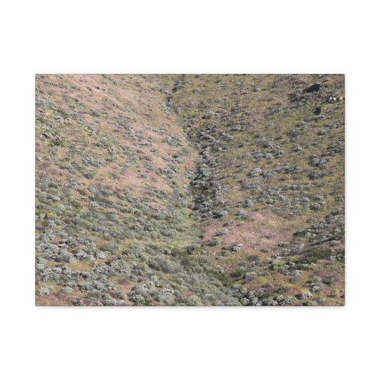 Desert Hillside - Unique Frameless Canvas Wall Art - Art By Earth