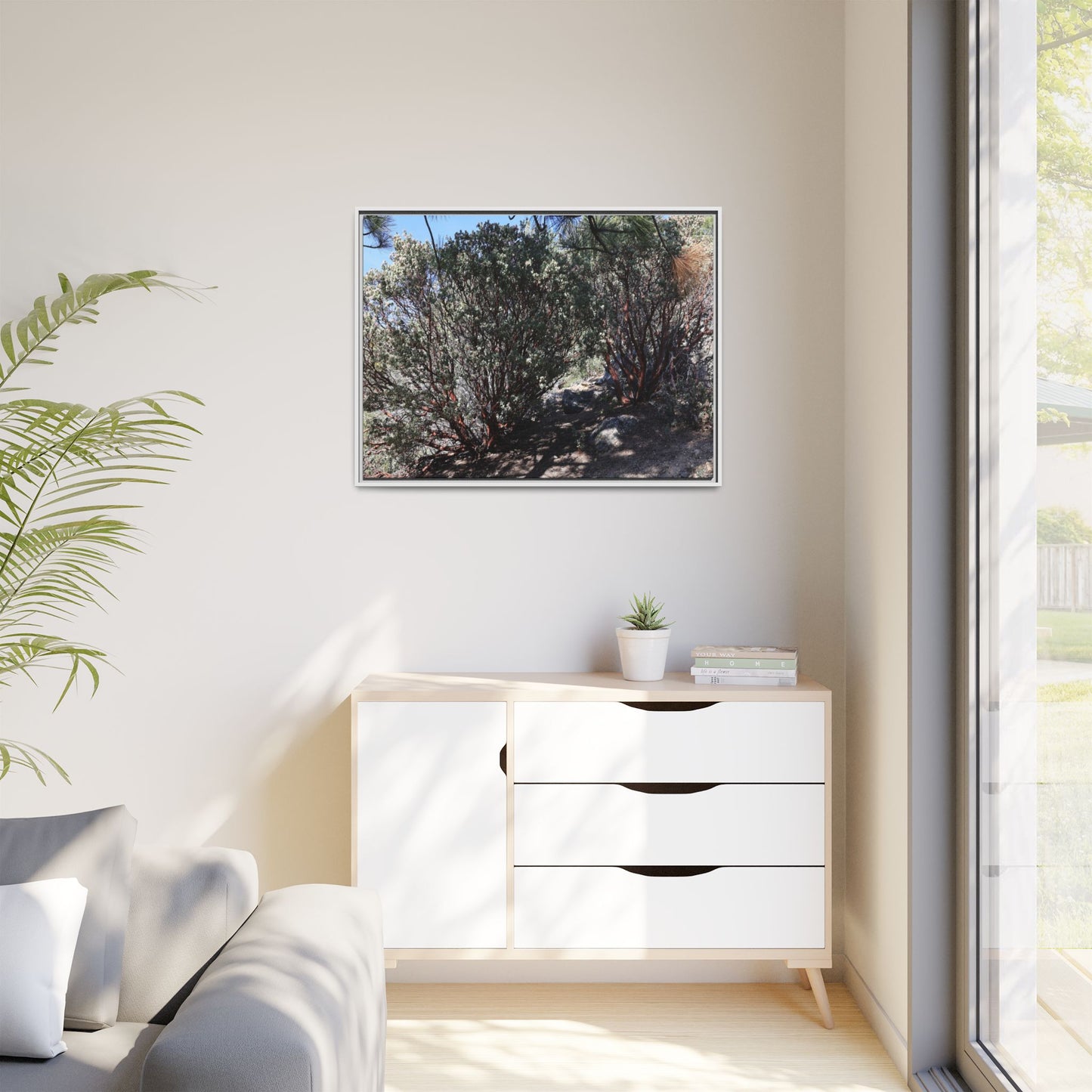 Desert Trail Through Blooming Manzanita - Unique Stretched Canvas Wall Art