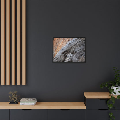 Time's Mark on Timber - Unique Stretched Canvas Wall Art - Art By Earth