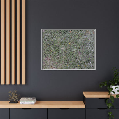 Grassy Texture - Unique Stretched Canvas Wall Art - Art By Earth