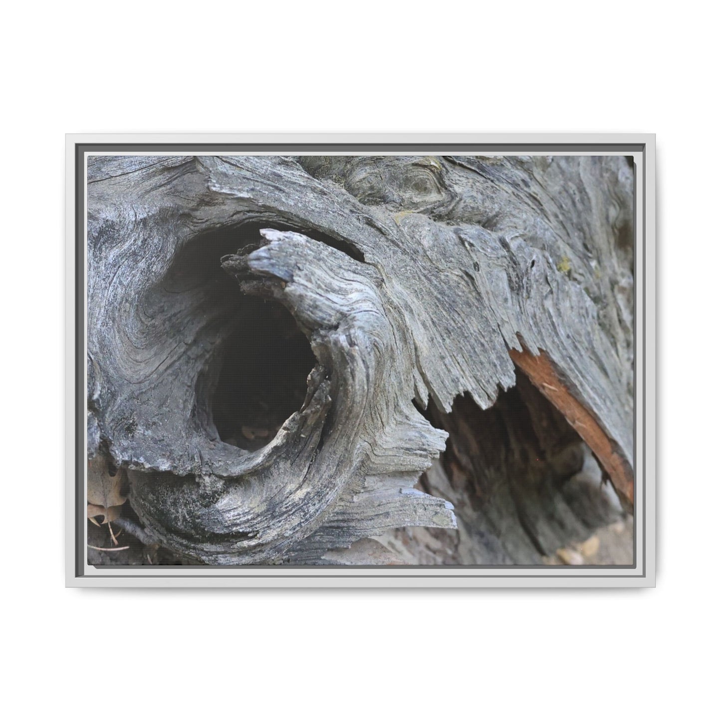Bark's Labyrinth - Unique Stretched Canvas Wall Art - Art By Earth