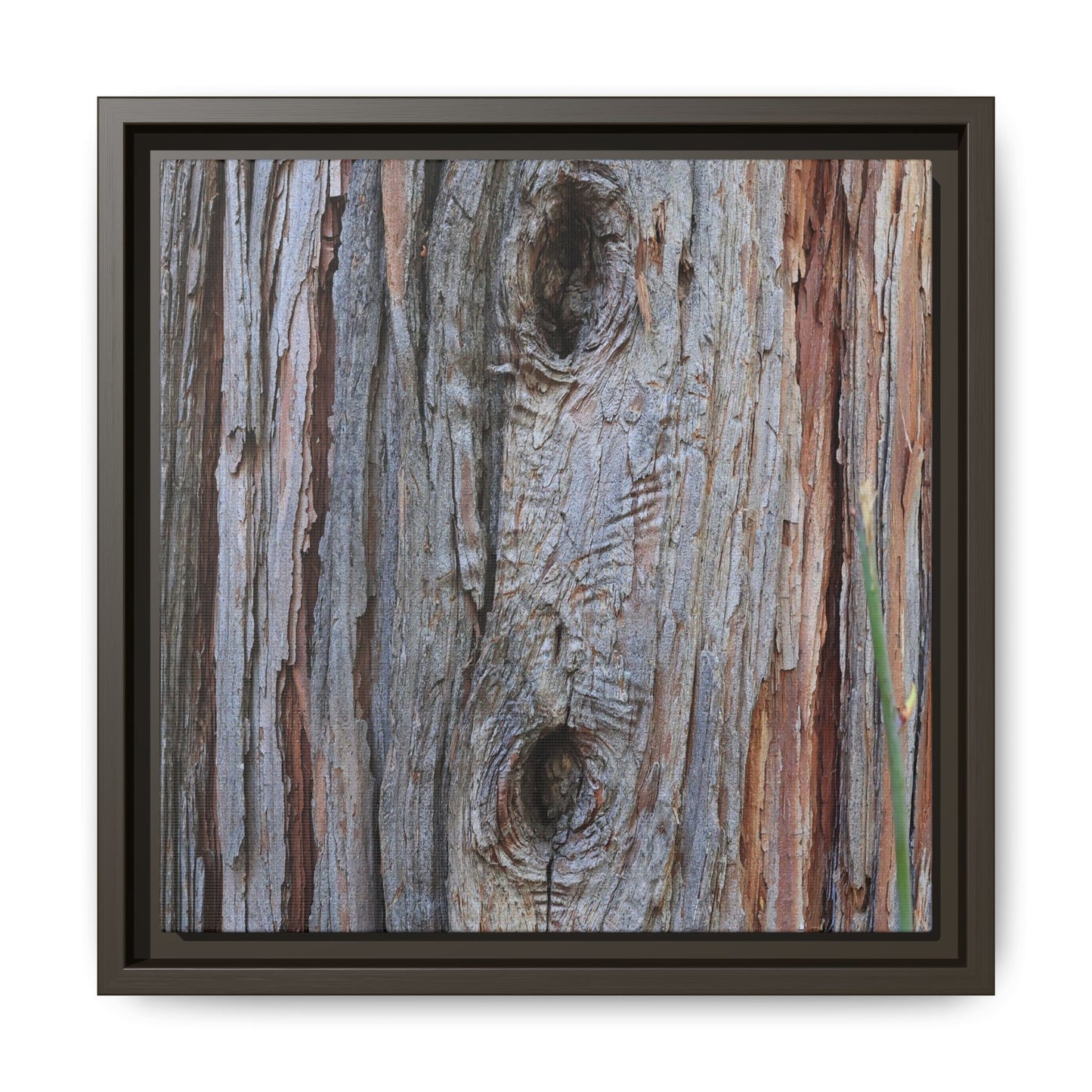 Knotty Nature - Unique Stretched Canvas Wall Art - Art By Earth