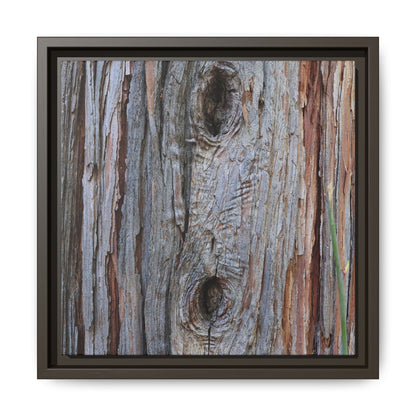 Knotty Nature - Unique Stretched Canvas Wall Art - Art By Earth