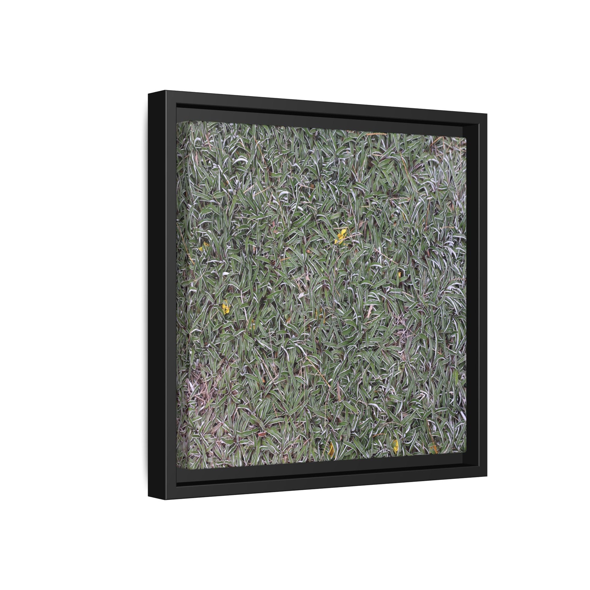 Grassy Texture - Unique Stretched Canvas Wall Art - Art By Earth
