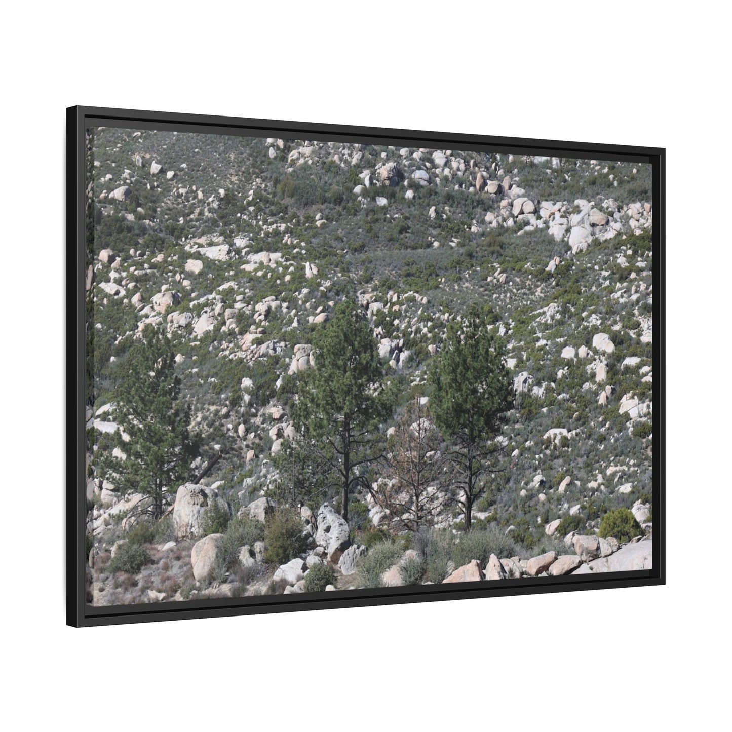 Rocky Hillside with Pine Trees - Unique Stretched Canvas Wall Art - Art By Earth