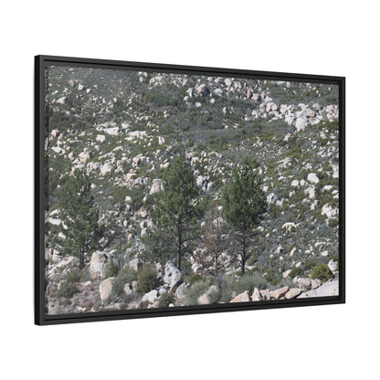 Rocky Hillside with Pine Trees - Unique Stretched Canvas Wall Art - Art By Earth