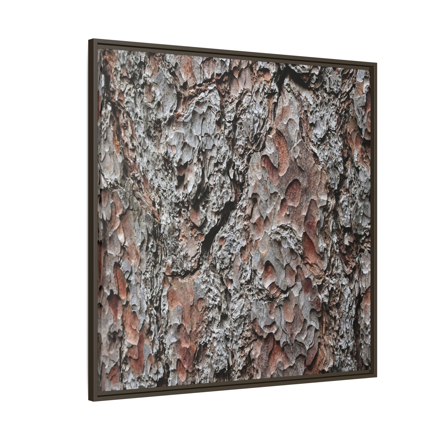 Bark Texture Symphony - Unique Stretched Canvas Wall Art - Art By Earth