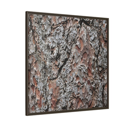 Bark Texture Symphony - Unique Stretched Canvas Wall Art - Art By Earth