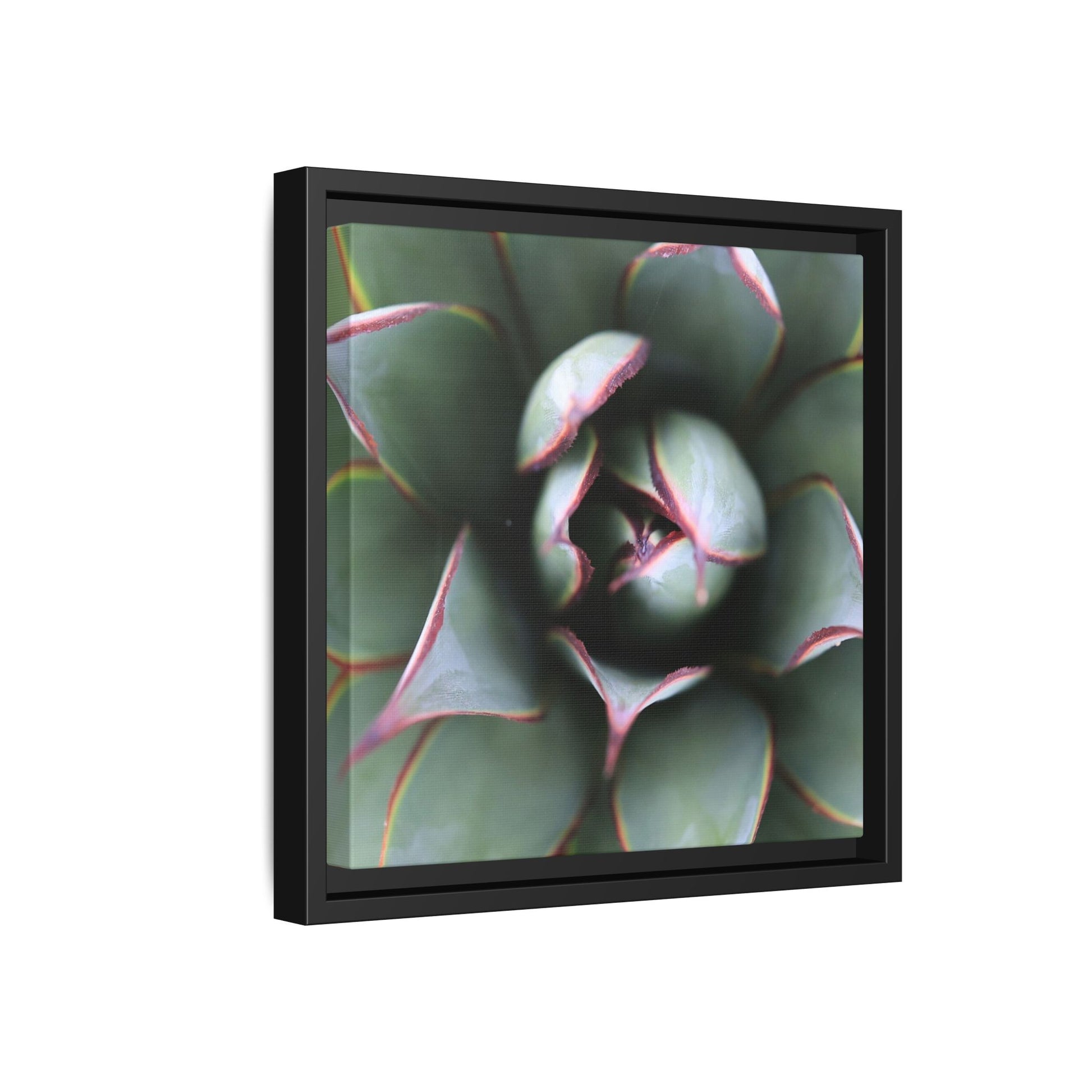 Spiky Elegance - Unique Stretched Canvas Wall Art - Art By Earth