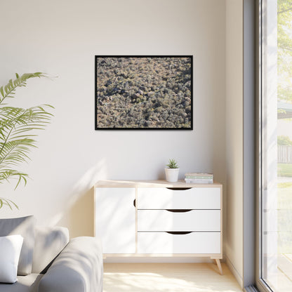 Arid Terrain Study - Unique Stretched Canvas Wall Art - Art By Earth
