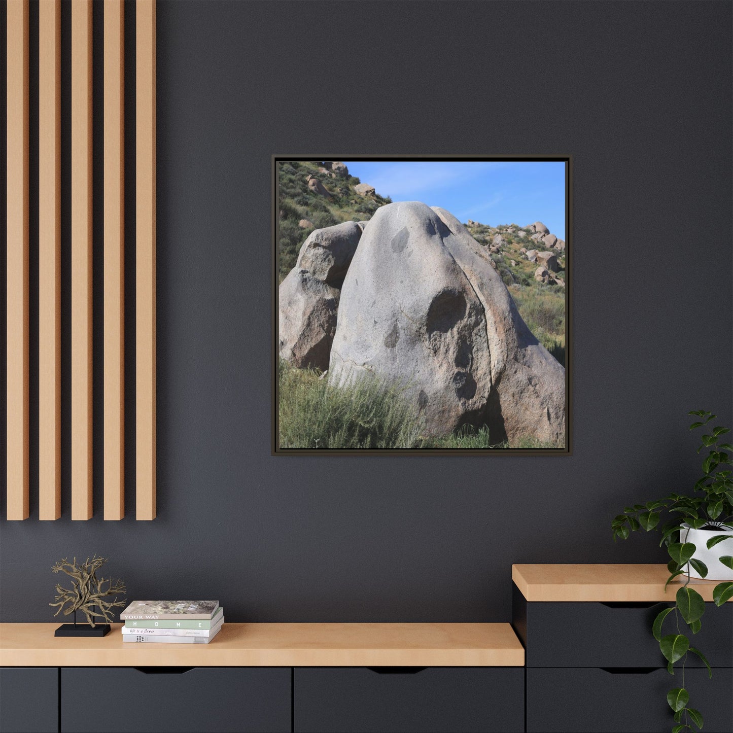 Skull Rock Desert - Unique Stretched Canvas Wall Art - Art By Earth