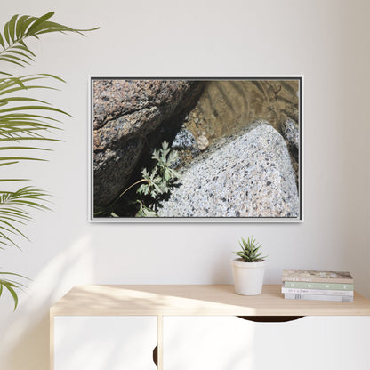 Resilience in Stone - Unique Stretched Canvas Wall Art - Art By Earth
