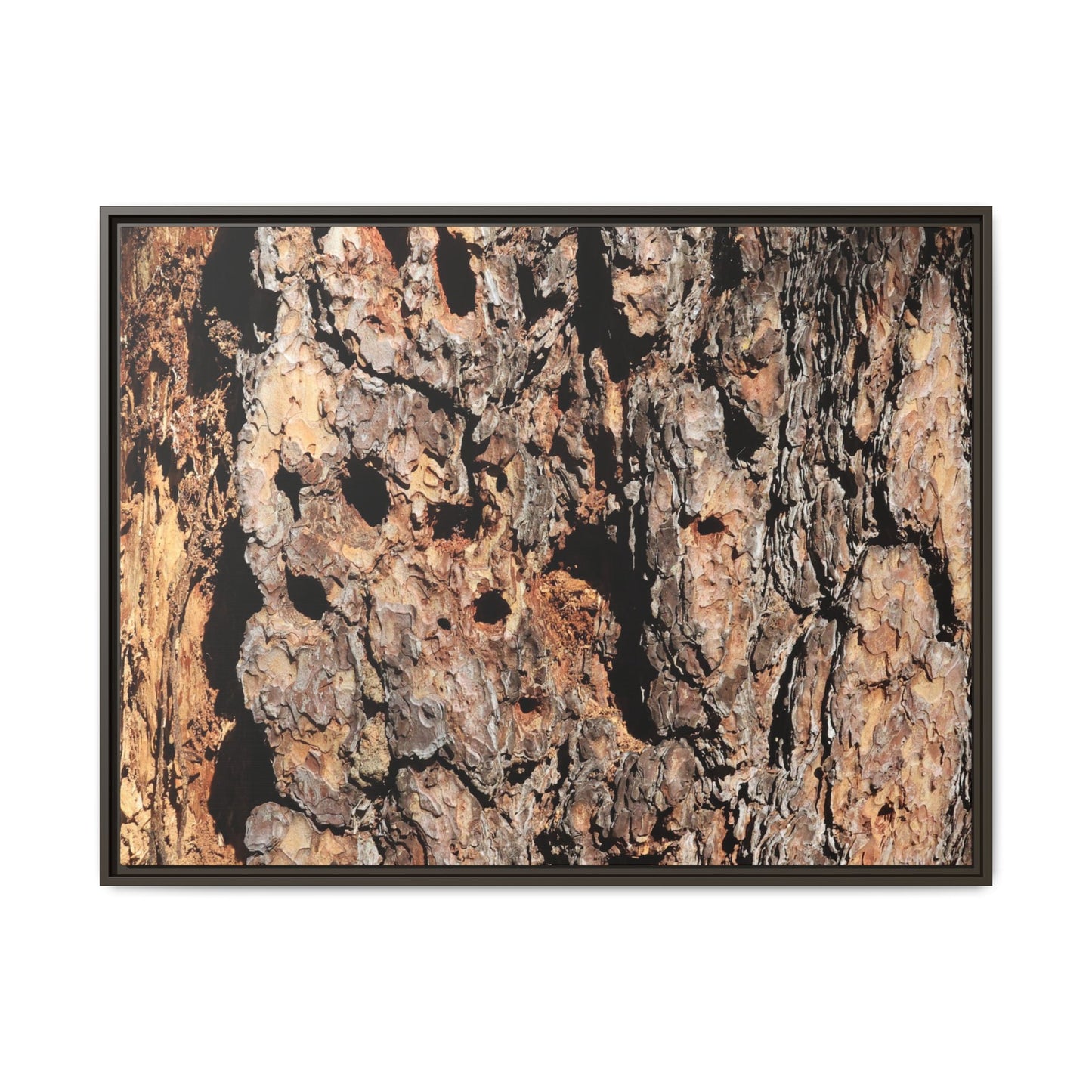 Rugged Rhythms - Unique Stretched Canvas Wall Art - Art By Earth