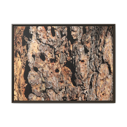 Rugged Rhythms - Unique Stretched Canvas Wall Art - Art By Earth