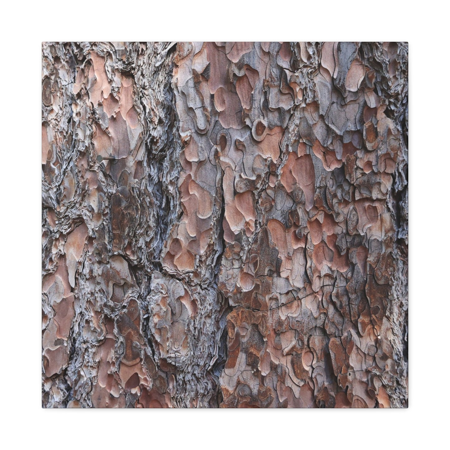 Woodland Armor - Unique Frameless Canvas Wall Art - Art By Earth