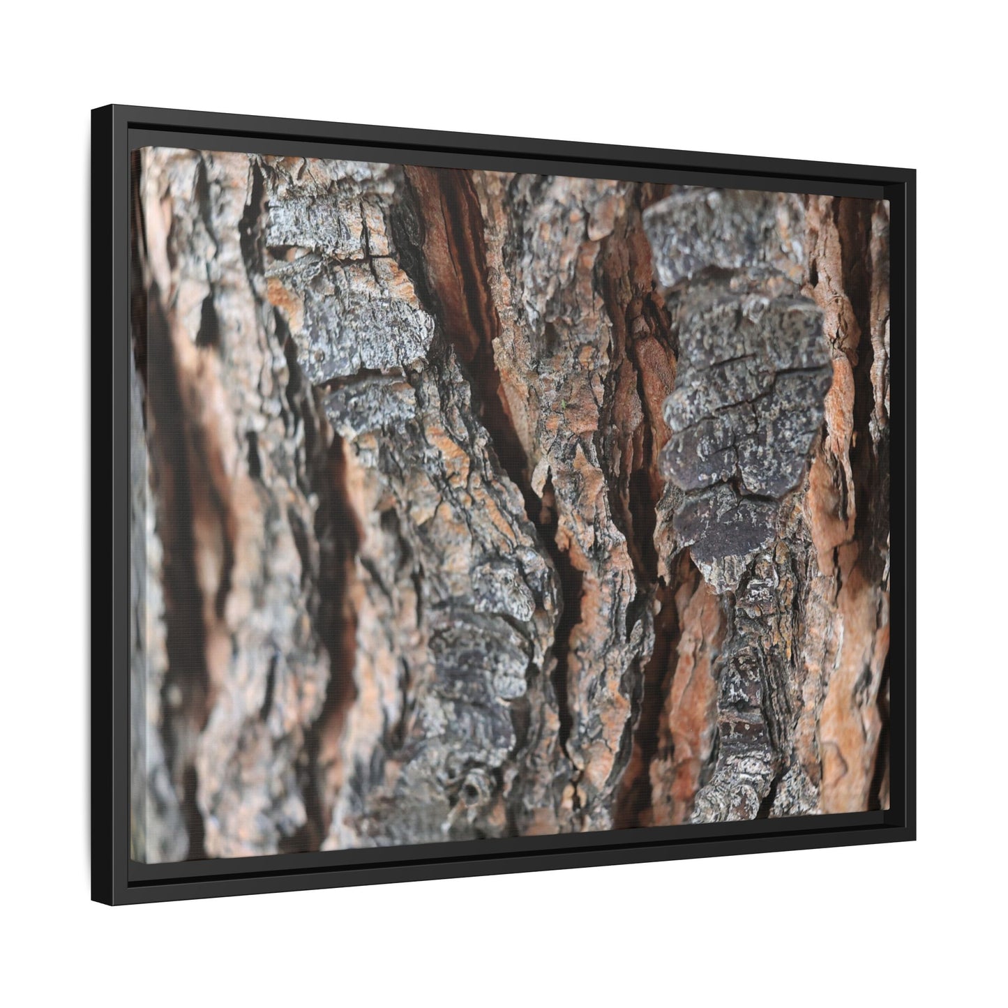 Fractured Nature - Unique Stretched Canvas Wall Art - Art By Earth