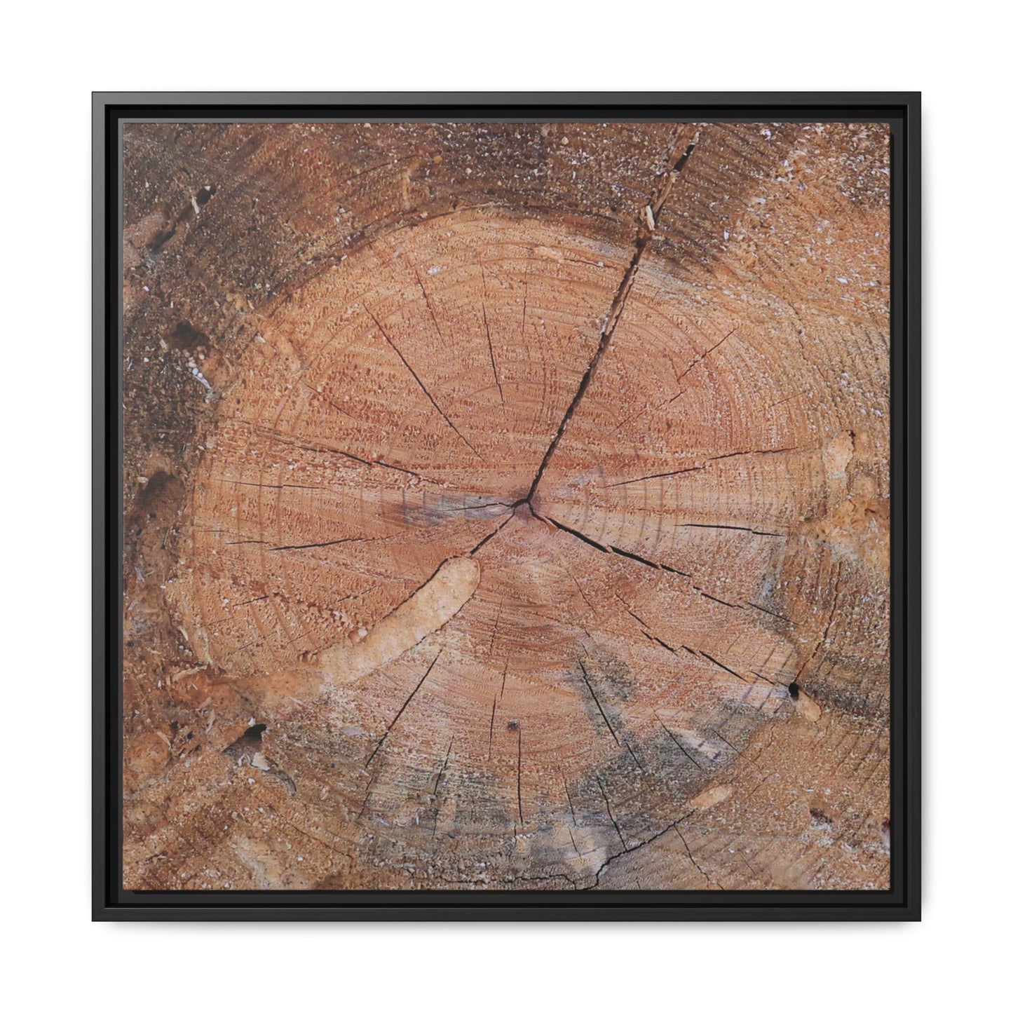 Concentric Memories - Unique Stretched Canvas Wall Art - Art By Earth