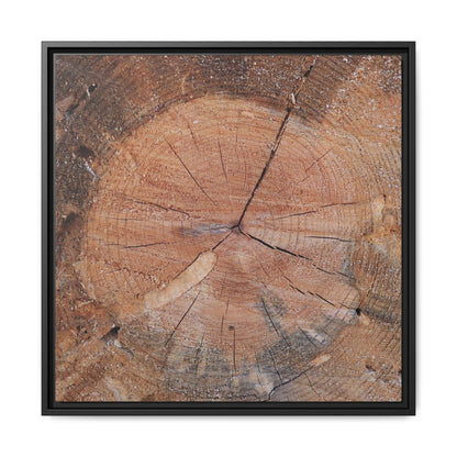 Concentric Memories - Unique Stretched Canvas Wall Art - Art By Earth