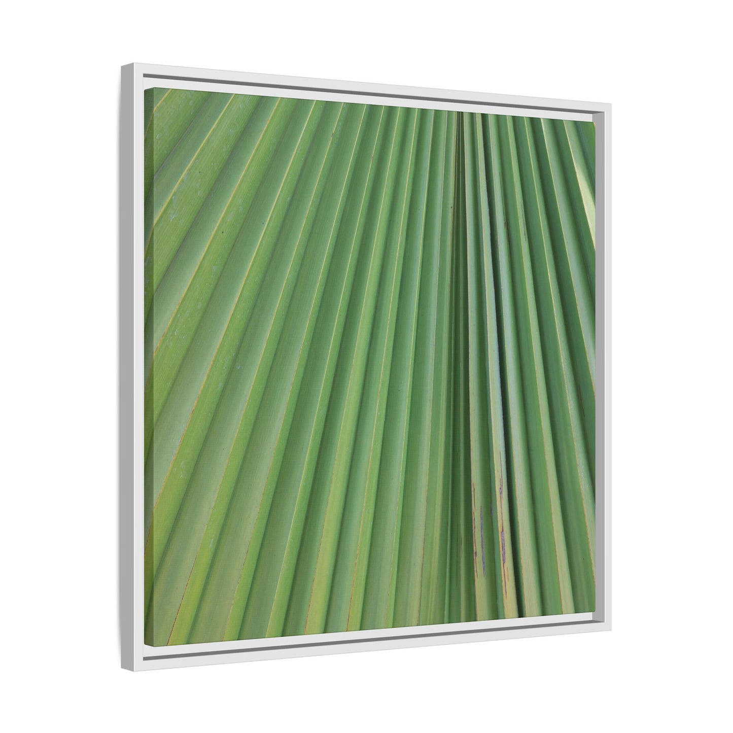 Emerald Rays - Unique Stretched Canvas Wall Art - Art By Earth