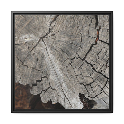 Time's Signature - Unique Stretched Canvas Wall Art - Art By Earth