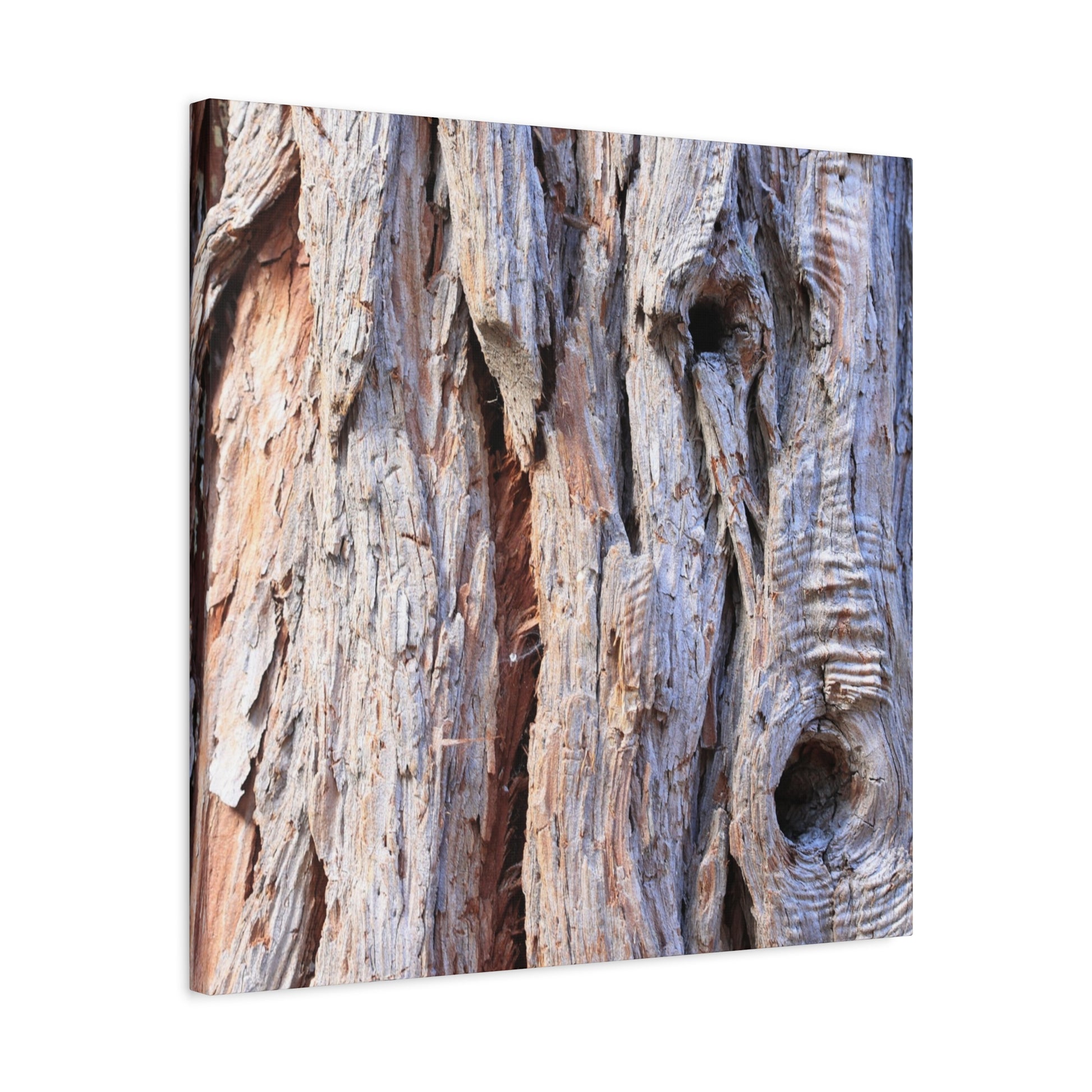 Aged Bark Surface - Unique Frameless Canvas Wall Art - Art By Earth