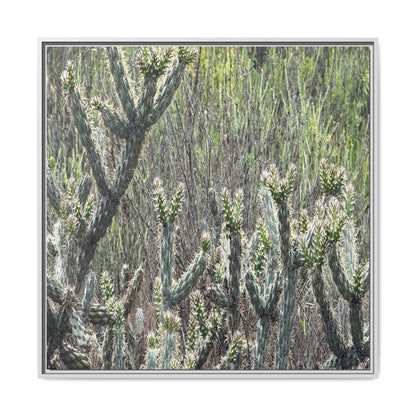 Prickly Paradise - Unique Stretched Canvas Wall Art - Art By Earth