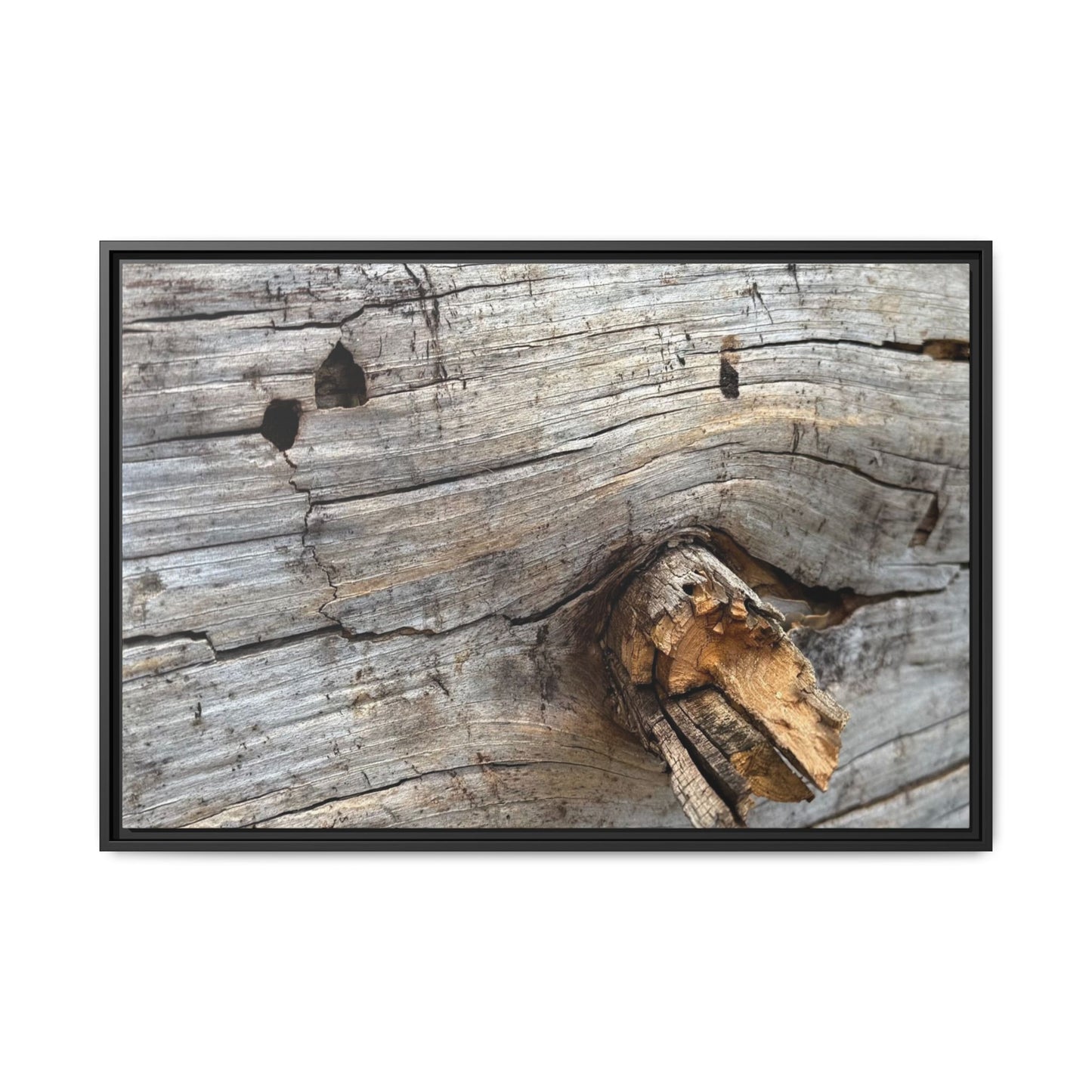 Weathered Wood Texture - Unique Stretched Canvas Wall Art - Art By Earth