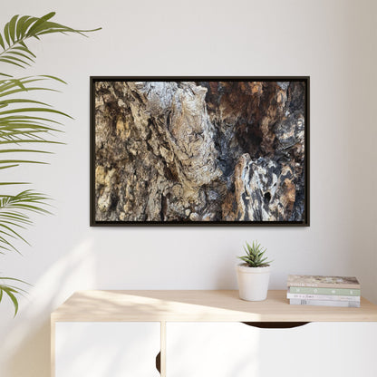 Ancient Tree Texture - Unique Stretched Canvas Wall Art - Art By Earth