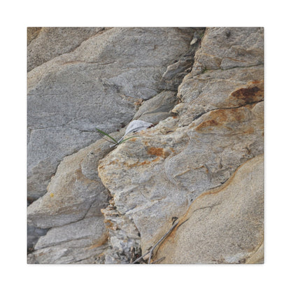 Fractal Earth - Unique Frameless Canvas Wall Art - Art By Earth