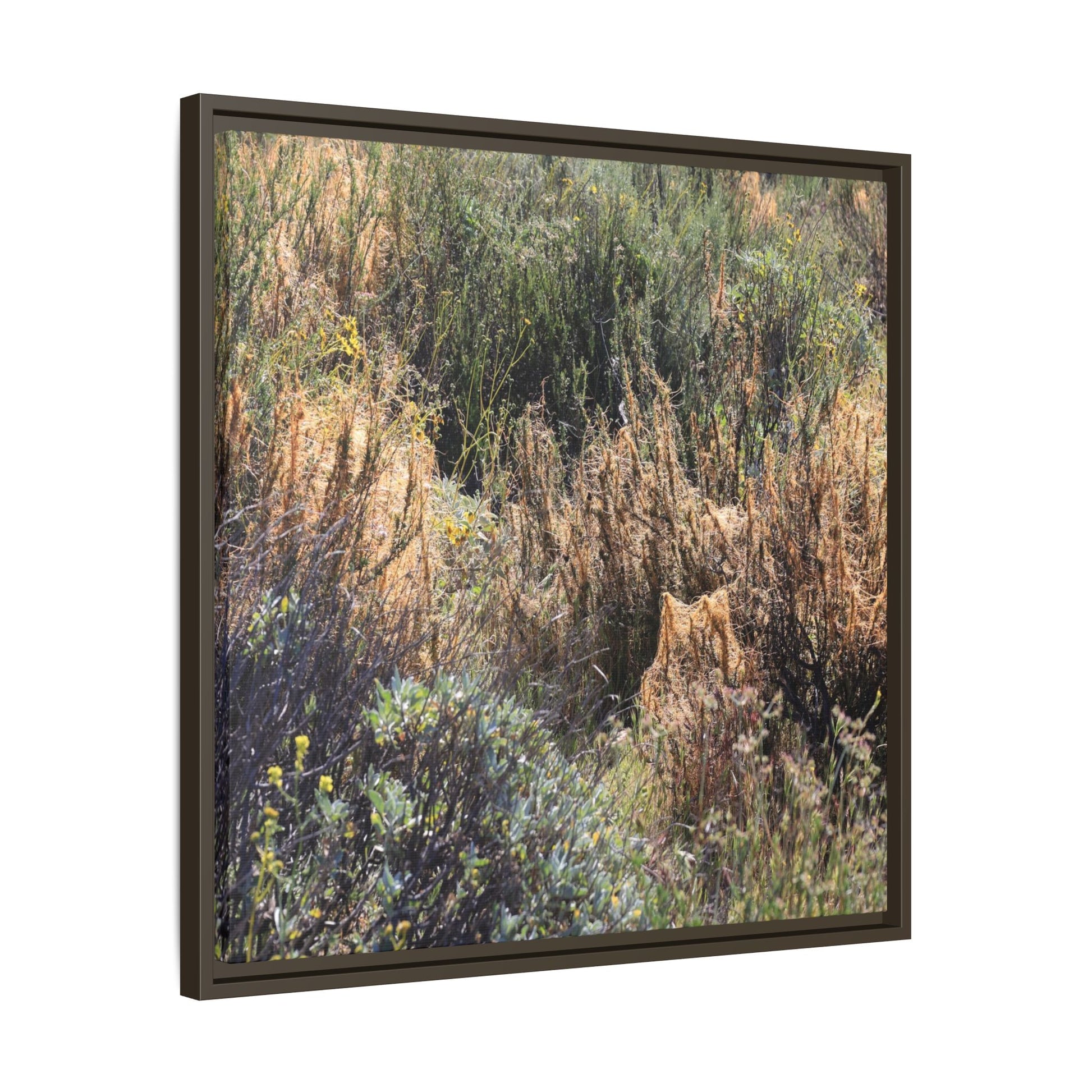 Drought-Stricken Landscape - Unique Stretched Canvas Wall Art - Art By Earth