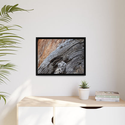 Time's Mark on Timber - Unique Stretched Canvas Wall Art - Art By Earth