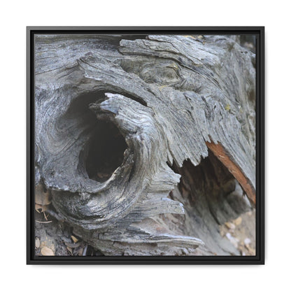 Bark's Labyrinth - Unique Stretched Canvas Wall Art - Art By Earth