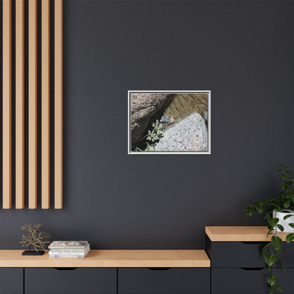 Resilience in Stone - Unique Stretched Canvas Wall Art - Art By Earth