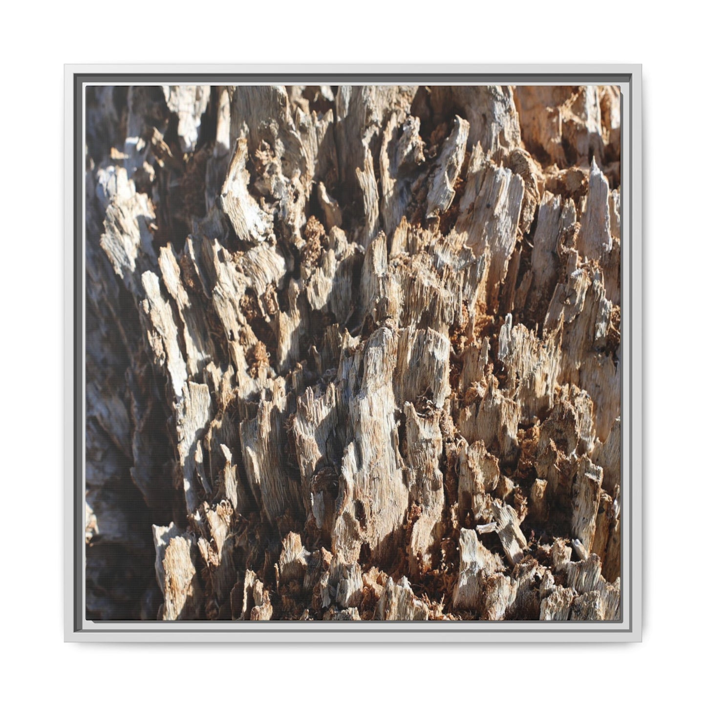 Fractal Fragments - Unique Stretched Canvas Wall Art