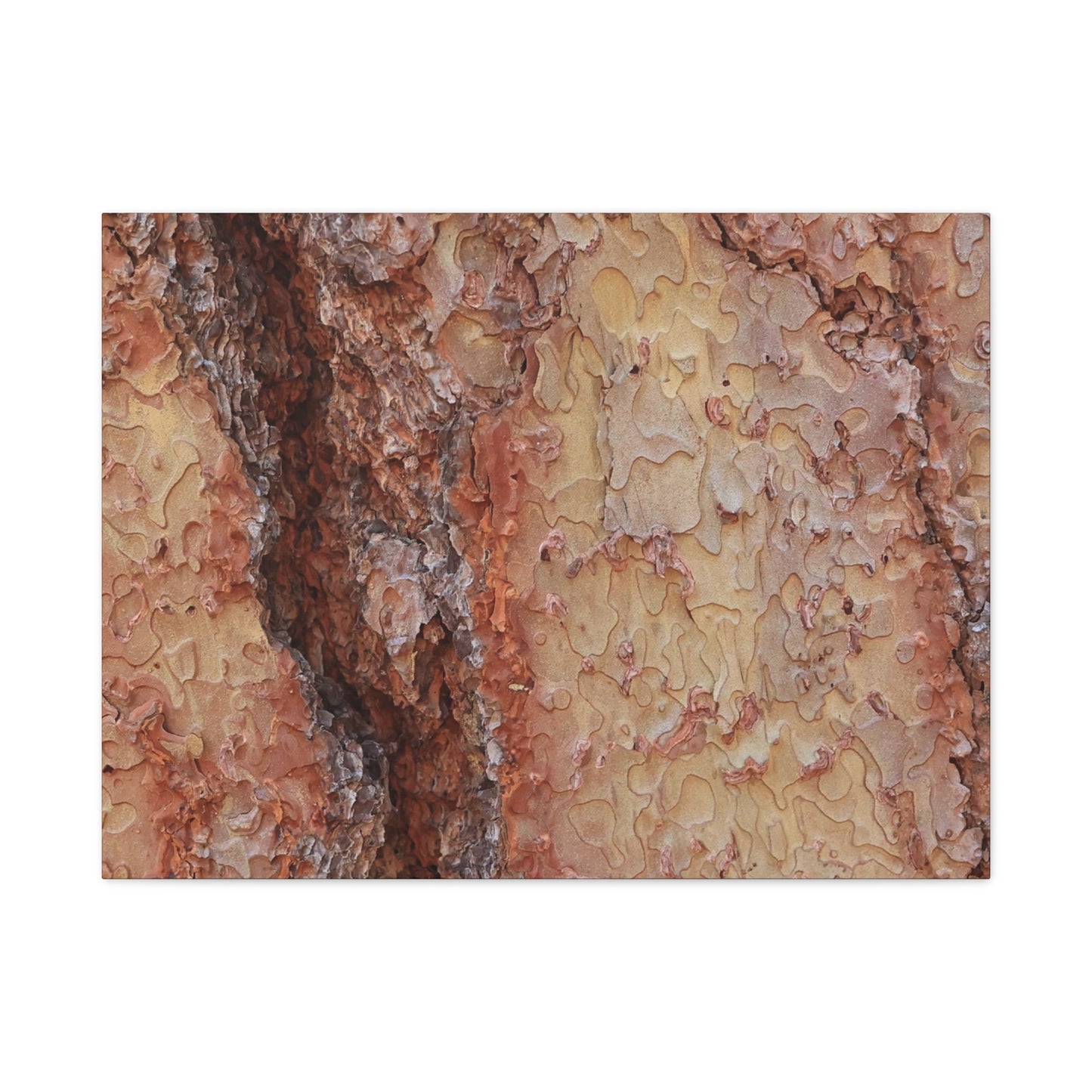 Arboreal Secrets - Unique Frameless Canvas Wall Art - Art By Earth