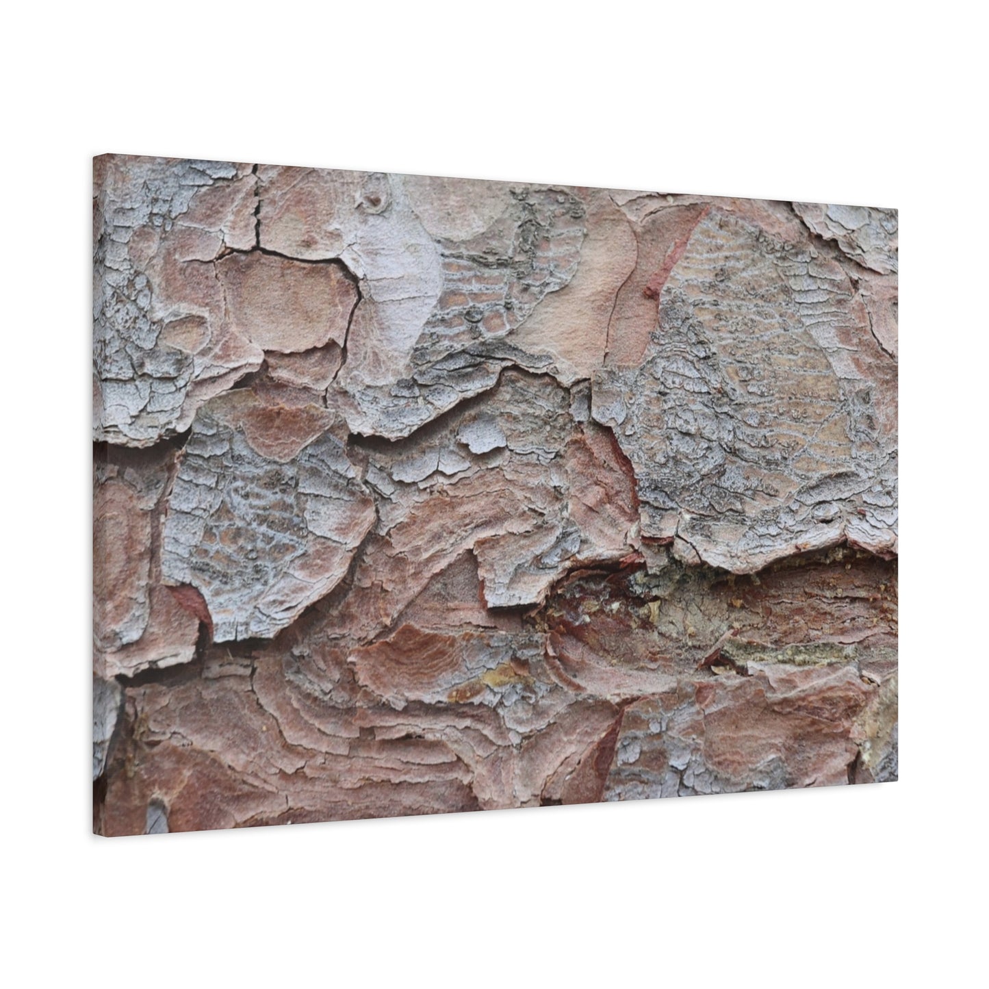 Textural Landscape - Unique Frameless Canvas Wall Art - Art By Earth