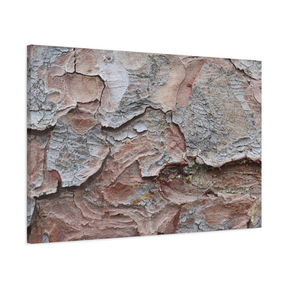 Textural Landscape - Unique Frameless Canvas Wall Art - Art By Earth