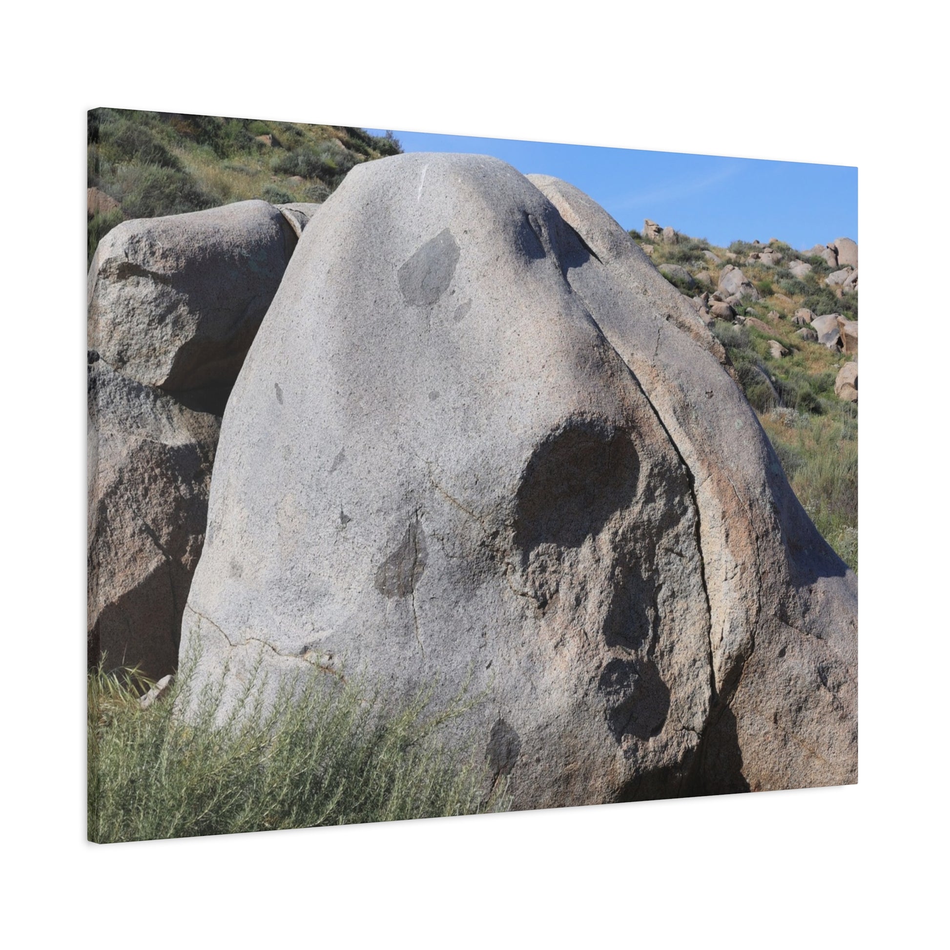 Skull Rock - Unique Frameless Canvas Wall Art - Art By Earth