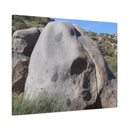 Skull Rock - Unique Frameless Canvas Wall Art - Art By Earth