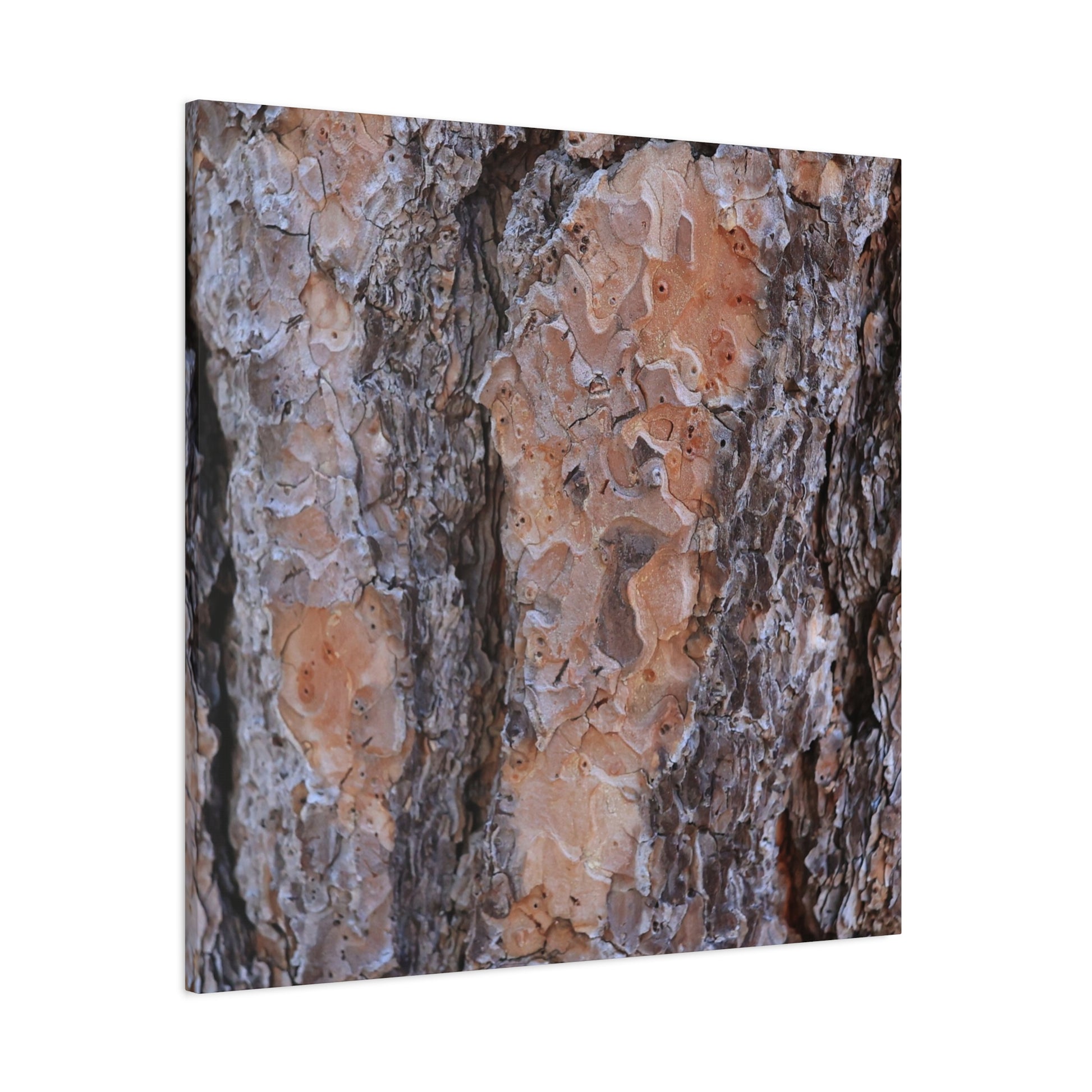 Terracotta Textures - Unique Frameless Canvas Wall Art - Art By Earth