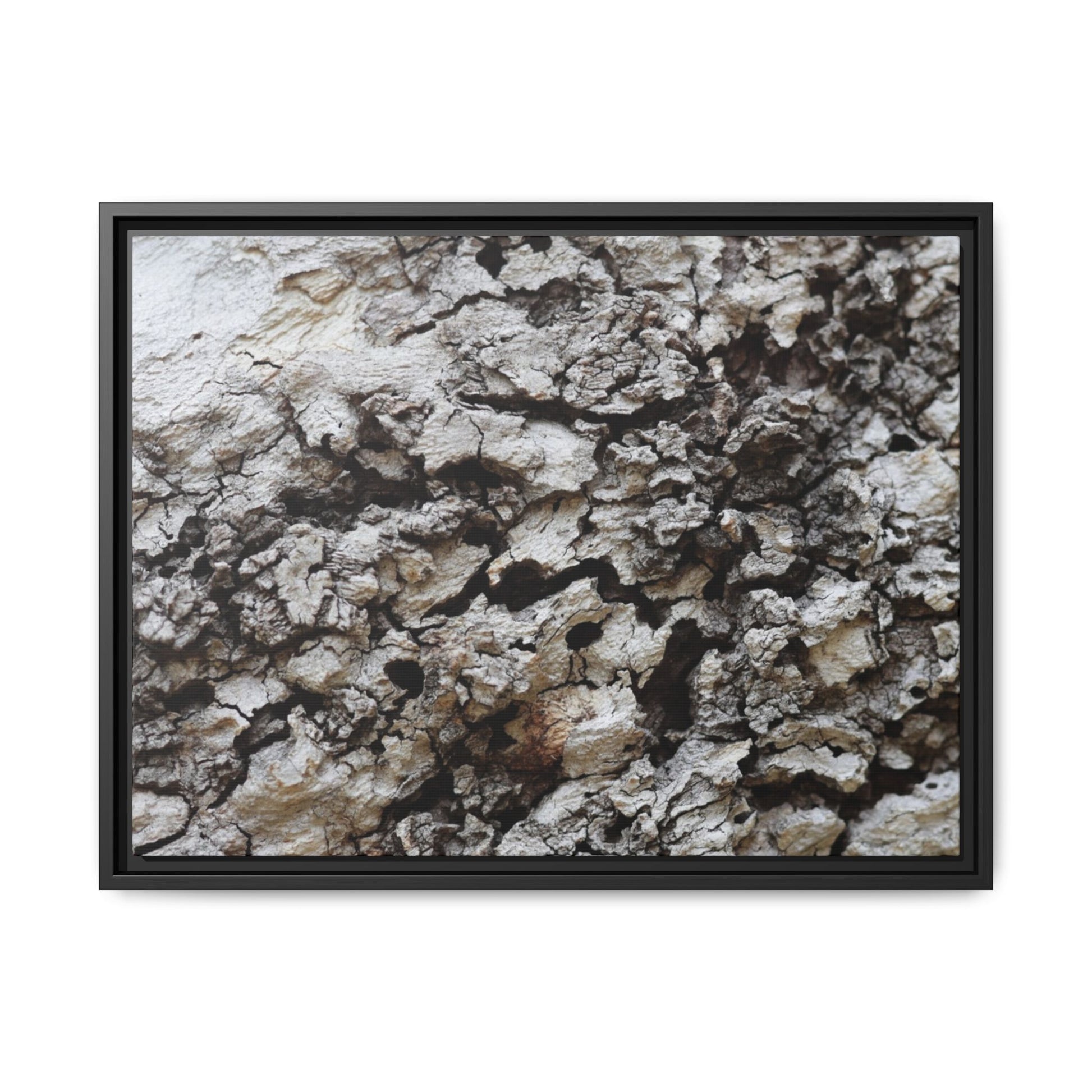 Cracked Terrain - Unique Stretched Canvas Wall Art - Art By Earth